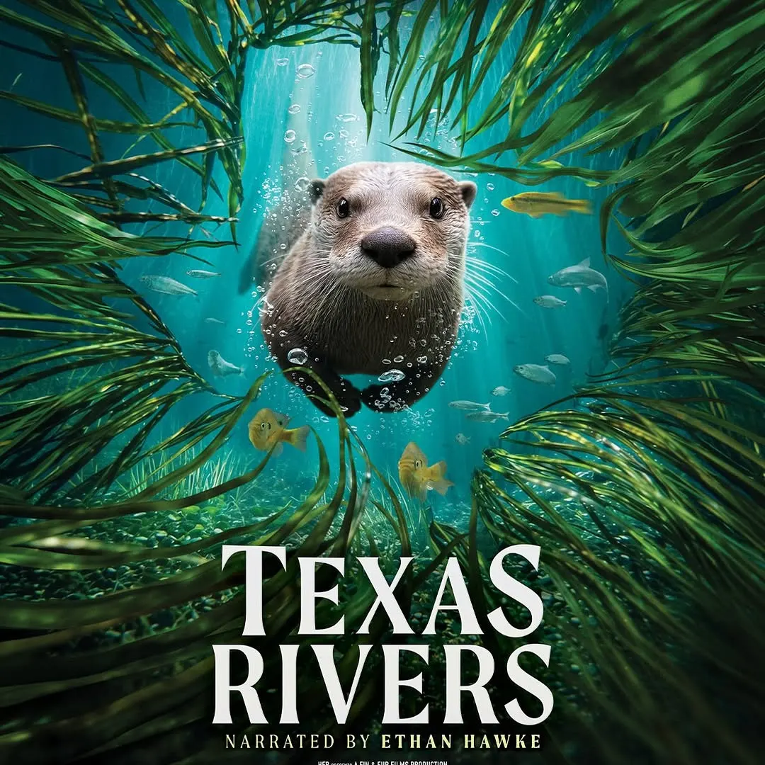 Coming to Texas Theaters September 25! Narrated by @ethanhawke, “Deep in the Heart 2: Texas Rivers” is a celebration of the springs, creeks, rivers, and bays that define the Lone Star State. From the rugged Rio Grande to the thriving waters of the Sabine and Neches, the film…