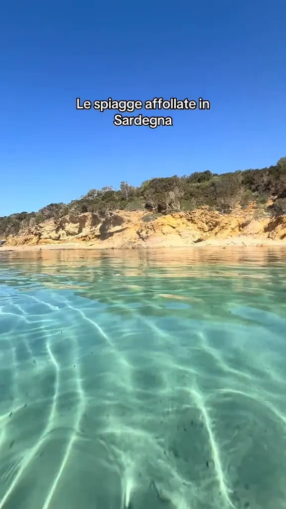 Mentre tutto sono nelle solite spiagge affollate in Sardegna, io mi godo questa piscina da sola. Unica compagnia i pesci ✨ #sardegna #sardinia #italia #italy #sardinianbeaches